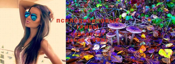 МДПВ Абинск