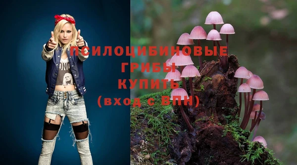 индика Абдулино